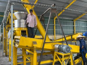 Máy nén viên, sàng thành phẩm Phân bón
